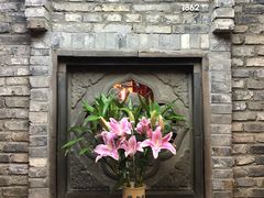 -陈麻婆豆腐(旗舰店)