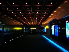 -奥斯卡升龙国际影城(RealD Cinema)