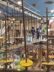 -卡通尼·Safari非洲探索乐园·生日会(金桥国际商业广场店)