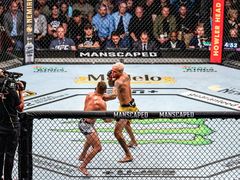 -北武堂拳击散打搏击泰拳俱乐部(三里屯总店)