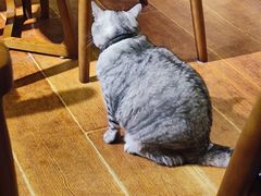 -H立方实景剧情密室(天河旗舰店)