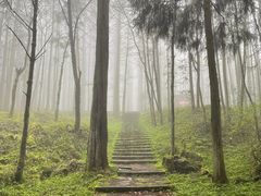 -武陵山森林公园