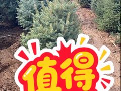 -62º上清水产(大卫城店)