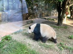 -贵州森林野生动物园