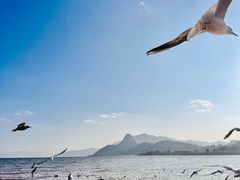 -抚仙湖禄充风景区