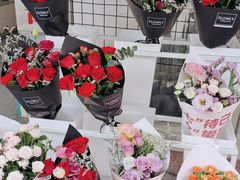 -溪岸路花鸟市场