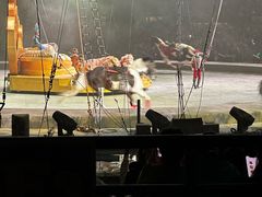 -广州长隆国际大马戏