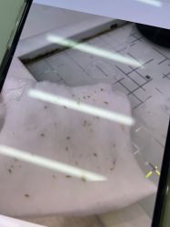 -痘敏医生专业祛痘·肌肤修复连锁