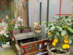 -萤火虫咖啡(砖著店)