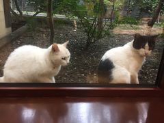 -金石唐风国际温泉会馆