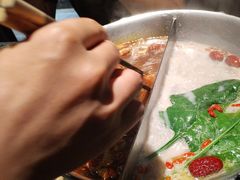 -湊湊火锅·茶憩(新中关购物中心店)