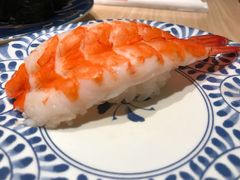 -大起水产回转寿司(道顿堀店)
