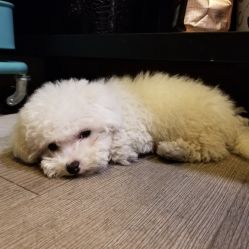 -素颜秀·纹眉·野生眉·纹唇半永久