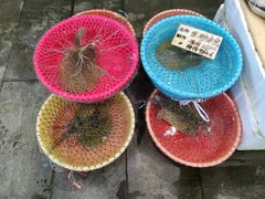 -大门水乡·顺德菜