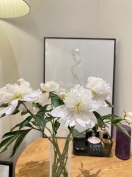 -康颜SPA自然疗愈皮肤管理中心