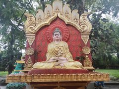 -瑞丽独树成林风景区