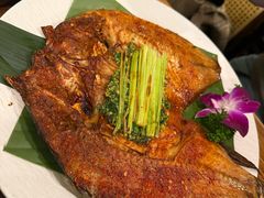 -紫滇源云南生态菜(丹凤街店)