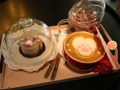 -喵屿·大理花园猫咖