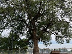 -东钱湖旅游度假区