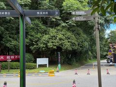 -桃花岭景区