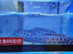 -万和源炝锅城·活鱼现炝(文艺北路店)