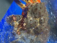 -永辉超市(龙潭寺店)