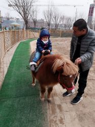 -萌宠亲子动物乐园(槐房万达店)