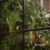 一杯再一杯 无牌咖啡