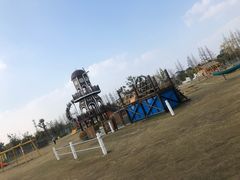 -上海长兴岛郊野公园