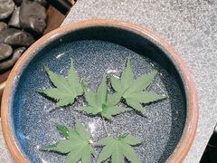 -泰合玺·精油疗愈SPA(狮山天街生活广场店)