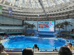 -海合安成都极地海洋公园
