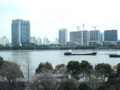 -上海当代艺术博物馆
