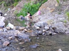 -北仑森林植物园