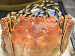 -七的湖·晚芳亭·阳澄湖农家菜·大闸蟹(莲花岛店)