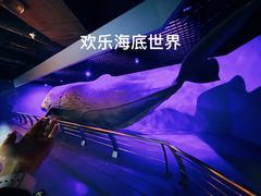 -重庆欢乐海底世界