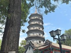 -哈尔滨极乐寺