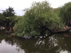 -水绘园