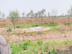 -海上花岛玫瑰园采摘