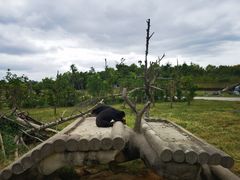 -上海野生动物园