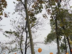 -伴山茶苑·围炉煮茶