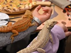 -FAIRYLAND龙族星球主题餐厅(凯丹广场店)