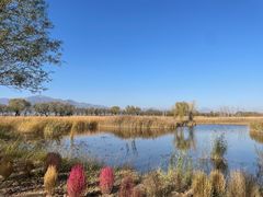 -野鸭湖国家湿地公园
