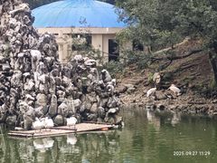 -合肥野生动物园