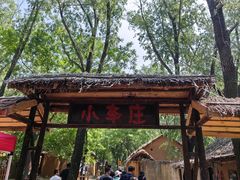 -微山湖红荷湿地景区