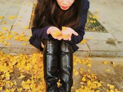 -三里屯东五街银杏大道