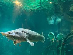 -华夏文旅海洋公园