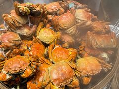 大闸蟹-广州富力君悦大酒店·凯菲厅