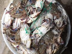 -芦潮港集贸市场