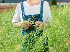 -爱印象婚纱摄影(大理店)