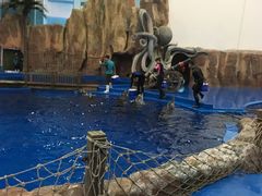 -华夏文旅海洋公园